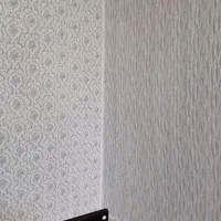 نقاشی و رنگ ساختمان طرح کاغذ دیواری|خدمات پیشه و مهارت|تالش, تالش|دیوار