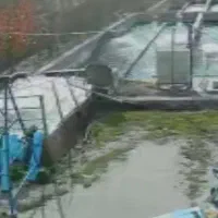 کار در مزرعه پرورش ماهی