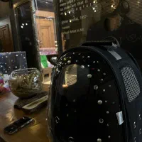 باکس و کوله سگ و گربه