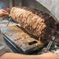 مجری مستقیم تور زمینی وان ترکیه نقد و اقساط|تور و چارتر|تهران, ونک|دیوار