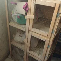 قفس چوبی