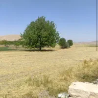 زمین-200-متری-تاج-خاتون