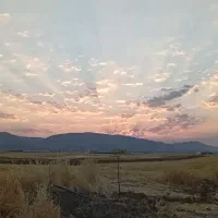زمین-کشاورزی-اجاره-میکنم-دیم-یا-آبی