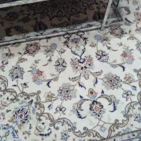 فرش کاشان|فرش|کرج, کوی مهر|دیوار