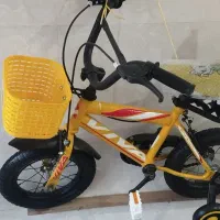 چندعدد دوچرخه 12