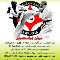 آموزش کاراته،کیوکوشین ،دفاع شخصی ومبارزات خیابانی