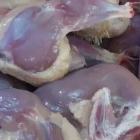 فروش گوشت اورگانیک بلدرچین طبق سفارش