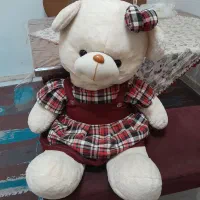 عروسک خرسی بزرگ سالم