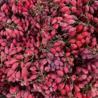 زرشک تازه وآبدار بدون هسته