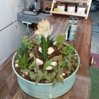 گلدان به همراه گل ها