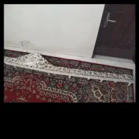 قاب پرده استخوانی وطایی