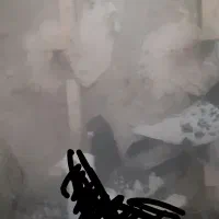 ماده پلاکی و بهبهانی|پرنده|نیریز, |دیوار