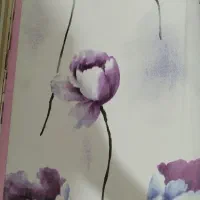 کاغذ دیواری رولی ۱۸۰|مصالح و تجهیزات ساختمان|زنجان, |دیوار