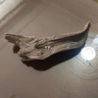 چوب آبنوس و سنگ دراگون و مپل