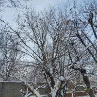 خونه کلنگی ۱۴۰متر زمین