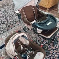 کالسکه وکریر دلیجان|کالسکه و لوازم جانبی|کبودرآهنگ, |دیوار