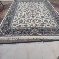فرش9متری|فرش|اردبیل, |دیوار