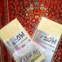محافظ ریشه و ترمز فرش|فرش|تهران, امام حسین|دیوار