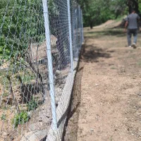 اجاره زمین کشاورزی روستای زیبای مرق