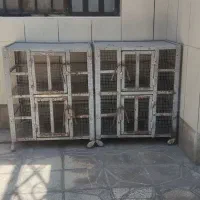 قفس جفتی گنجه جفتگاه جفت دونی کفتر کبوتر