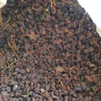کشمش(درگز) و (کاشمر) مخصوص آبگیری|عمده‌فروشی|مشهد, تلگرد|دیوار