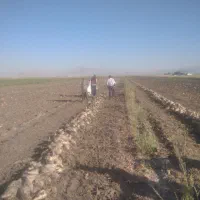 سرکارگر امور کشاورزی انبار سرد خانه آقای سنجابی|خدمات باغبانی و درختکاری|کرمانشاه, |دیوار