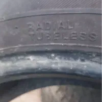 لاستیک|قطعات یدکی و لوازم جانبی|کاشان, الغدیر|دیوار