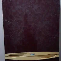 یخچال سالم مدل باکنش|یخچال و فریزر|اندیمشک, |دیوار