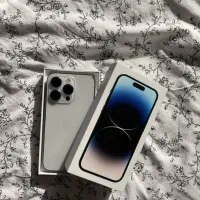 14promax-256|موبایل|مشهد, بهشت|دیوار