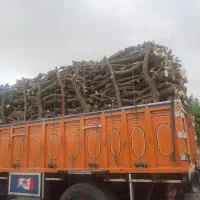 خرید و برش چوب به قیمت روز