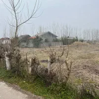 زمین مسکونی در یکی از بهترین روستاهای لاهیجان|فروش زمین و ملک کلنگی|لاهیجان, جمهوری|دیوار