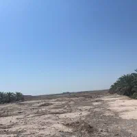 فروش-زمین-پشترود