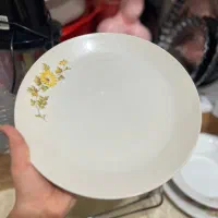 ماهی خوری و سینی|ظروف سرو و پذیرایی|رشت, سلیمانداراب|دیوار