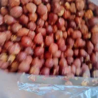 خبر خبر بادوم هندی درجه یک چاق گوشتی، مویز ،فندق|خوردنی و آشامیدنی|اراک, |دیوار