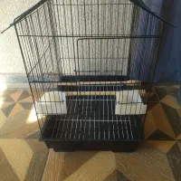 قفس