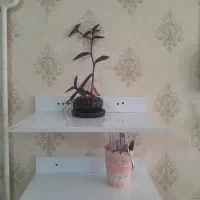 فروش سرشور|آرایشگاه و سالن‌های زیبایی|خرم‌آباد, |دیوار