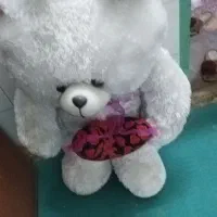 خرس بزرگ|اسباببازی بچه|دزفول, |دیوار