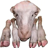 تمیز کردن کله پاچه