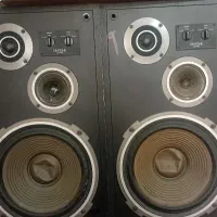 باند دایتون  محبوب وخوش صدا