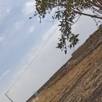 زمین|فروش زمین و ملک کلنگی|اصفهان, فرودگاه شهید بهشتی|دیوار