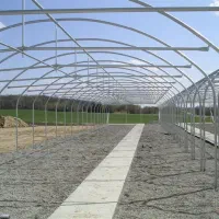 خریدار سازه گلخانه