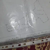 ۱۰من زمین.آخرامام رضا۹۶.جززمینهای زیادی