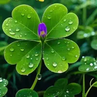 راهنمایی خدمات پوستی