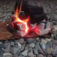 زغال کبابی فشرده