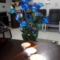 شرکت خدماتی پارس مهر