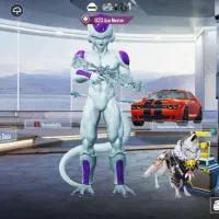 پابجی انفور یخی|کنسول، بازی ویدئویی و آنلاین|ایرانشهر, |دیوار