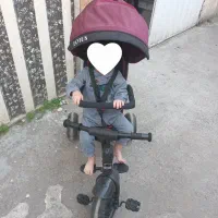 سه چرخه مارک لوتوس