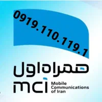 0919.110.119.1|سیمکارت|تهران, بهارستان|دیوار