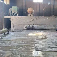 ملک حاشیه جاده سبزواربردسکن|فروش دفتر صنعتی، کشاورزی، تجاری|سبزوار, قصبه شرقی|دیوار