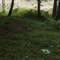 زمین-چهار-دیوار-روستایی-منطقه-علی-اباد